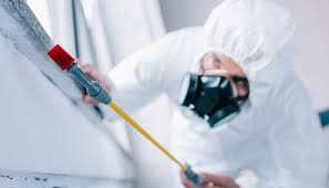 Best Pest Prevention Services  in Atwood, IL